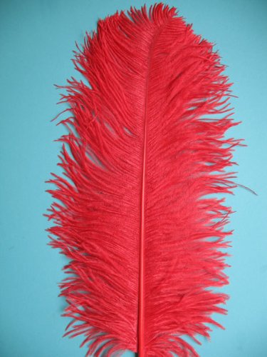 1 Pc Ostrich Feather Plume 18