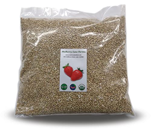 Buckwheat, 5 Pounds USDA Certified Organic, Non-GMO, Hulled, Whole, (Groats) Bulk, Product of USA, Mulberry Lane Farms image 2