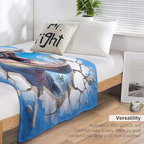 Plaid flannel polyester chaud plaid dinosaure facile &agrave; nettoyer - 6
