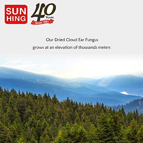 Fortune Dried Cloud Ear Fungus 2.5 Oz(Pack Of 3) 特級雲耳 #TOP3