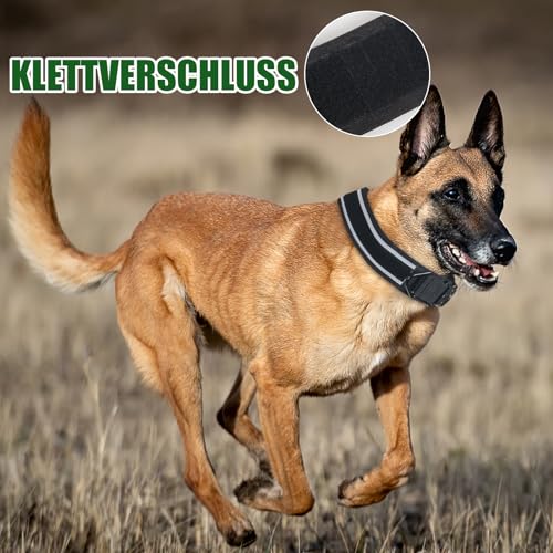 FEimaX Hundehalsband Personalisiert Hunde Halsband für Kleine Mittelgroße Hunde, Breite Reflektierende Verstellbares Taktisch Hundehalsband mit Metallschnalle für Ausbildung (Schwarz, M)