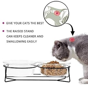 Double Glass Raised Cat or Small Dog Bowls with Metal Stand for Pet Food and Water Dishes , 20 Ounces