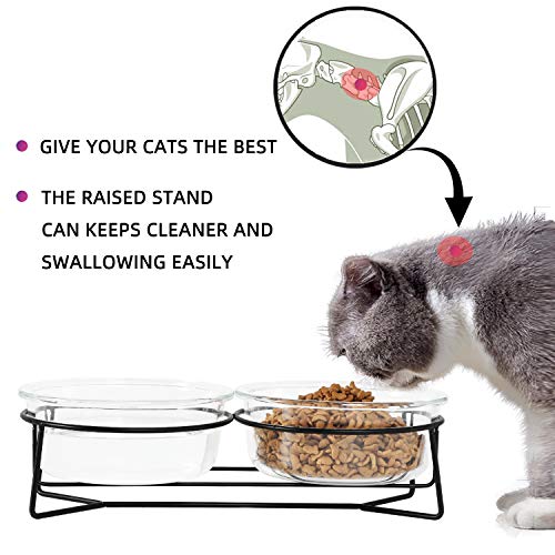 Double Glass Raised Cat or Small Dog Bowls with Metal Stand for Pet Food and Water Dishes , 20 Ounces Double Glass Raised Cat or Small Dog Bowls with Metal Stand for Pet Food and Water Dishes , 20 Ounces