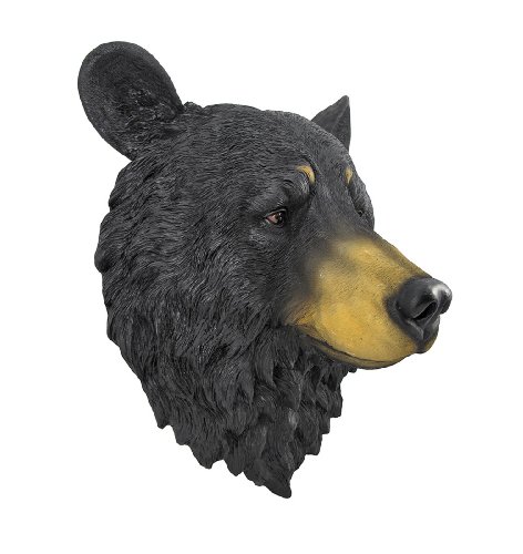 Estatua Decorativa Cabeza de Oso Negro 16 Pulgadas miniatura 2