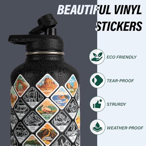 Insulated Water Bottle | Thickened Stainless Steel Vacuum Metal | Portable Sports Half Gallon Large Water Jug for Gym and Hiking with Straw, Carrier Bag, Handle Strap | BPA-Free 64 oz