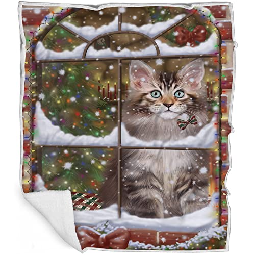 Doggie of the Day Maine Coon Cat Blanket - Please Come Home for Christmas - Super Soft & Warm Pet Theme for Sofa or Bed, Warm Fleece, Sherpa or Woven Material BLNKT157330 (60x80 Fleece)