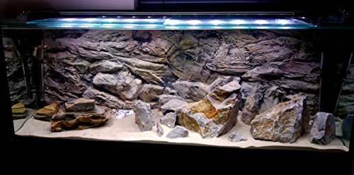 Fond d'aquarium 3D en polyrésine décor unique 196x45cm en 2 sections - 3