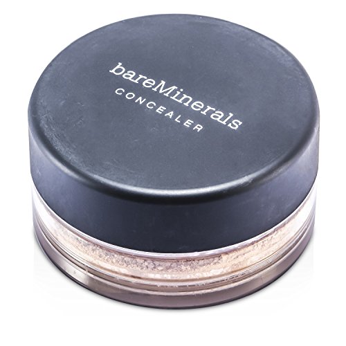 bareMinerals Well Rested Eye Color SPF 20