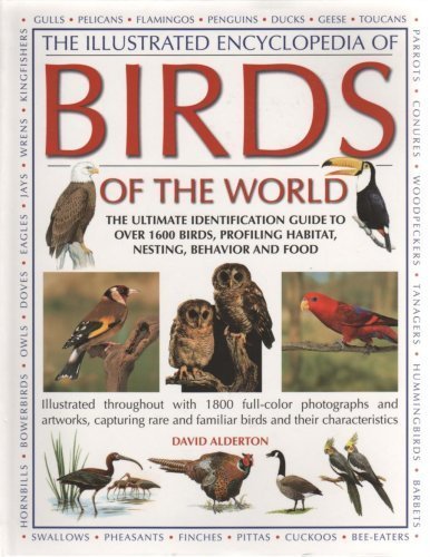 The Illustrated Encyclopedia of Birds of the World 0681103884 Book Cover