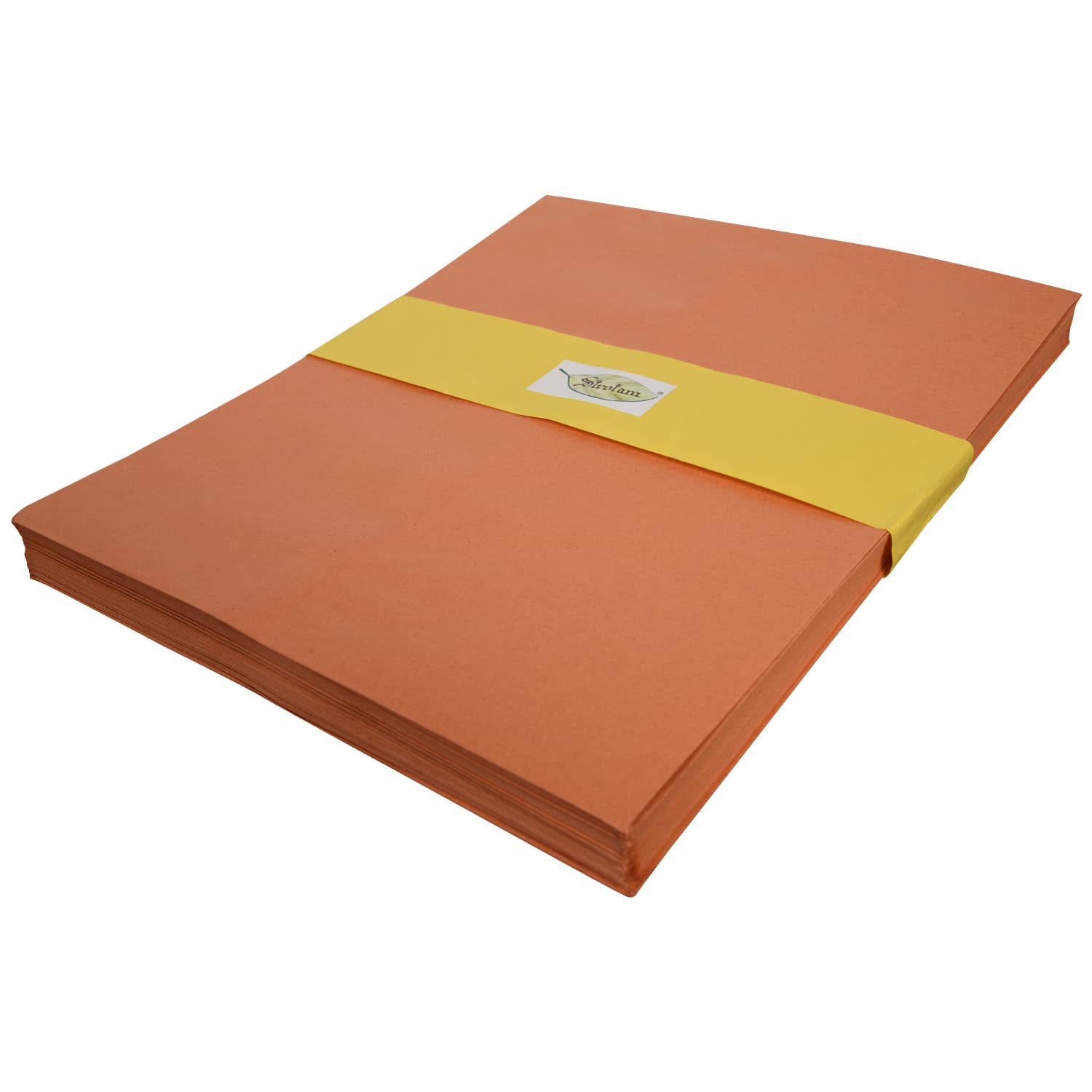 Strotam Brown Envelope 10X14 inch A4 Size Ideal for Home Office Secure Mailing, Pack of 200(More Sizes Inside)