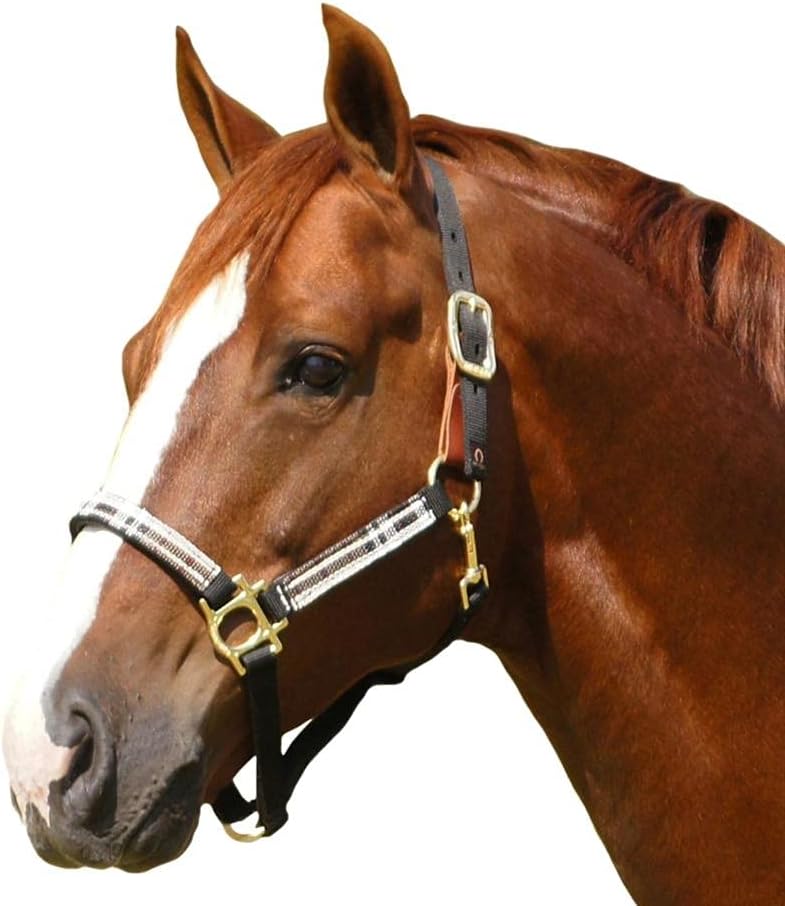 Kensington Premium Breakaway Halter with Padded Nose — Added Breakaway Safety Measures — Snap at Throat for Identical Fit Each Time