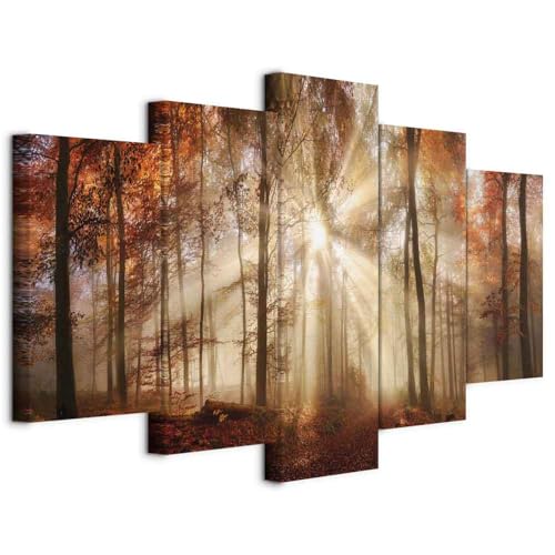 B&D XXL - Quadro Acustico Astratto Bosco Foresta 5 pezzi schiuma acustica Quadri Moderni Camera da Letto - Stampa su Tela - Pannelli Fonoassorbenti Decorativi - Fonoassorbente Acustiche