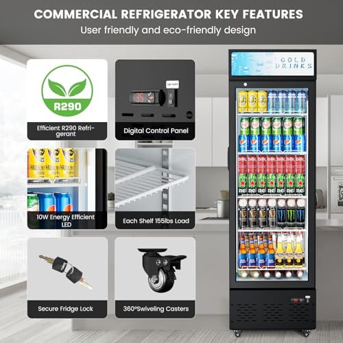 Image of Commercial Display Refrigerator Glass Door 11 cu.ft Commercial Beverage Refrigerators with LED and Shelves for Cafe, Restaurant, Store