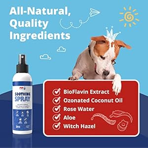 Soothing spray natural moisturizer flushes out root cause of itching and scratching hot spot relief for dogs with bioflavin extract made for all dogs and in the usa 4 fluid ounces  urban country home decor
