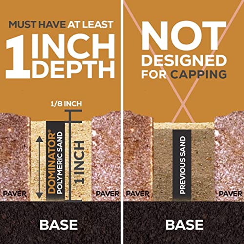10 Pound Gray Beige Dominator Polymeric Sand With Revolutionary Ceramic Flex Technology For Stabilizing Paver Joints/Gaps, 1/8” Up To 4”, Professional Grade Results #TOP7