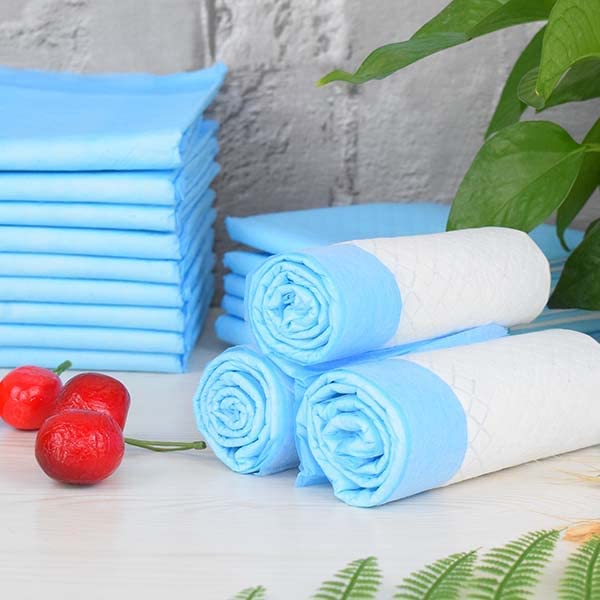 savsons Disposable Underpads, Large 60 X 90 cm, Super Absorbent Polymer & Soft Surface for Baby & Adults (Pack of 10pcs) (10) (B0BYNT15FN) Amazon Price History, Amazon Price Tracker