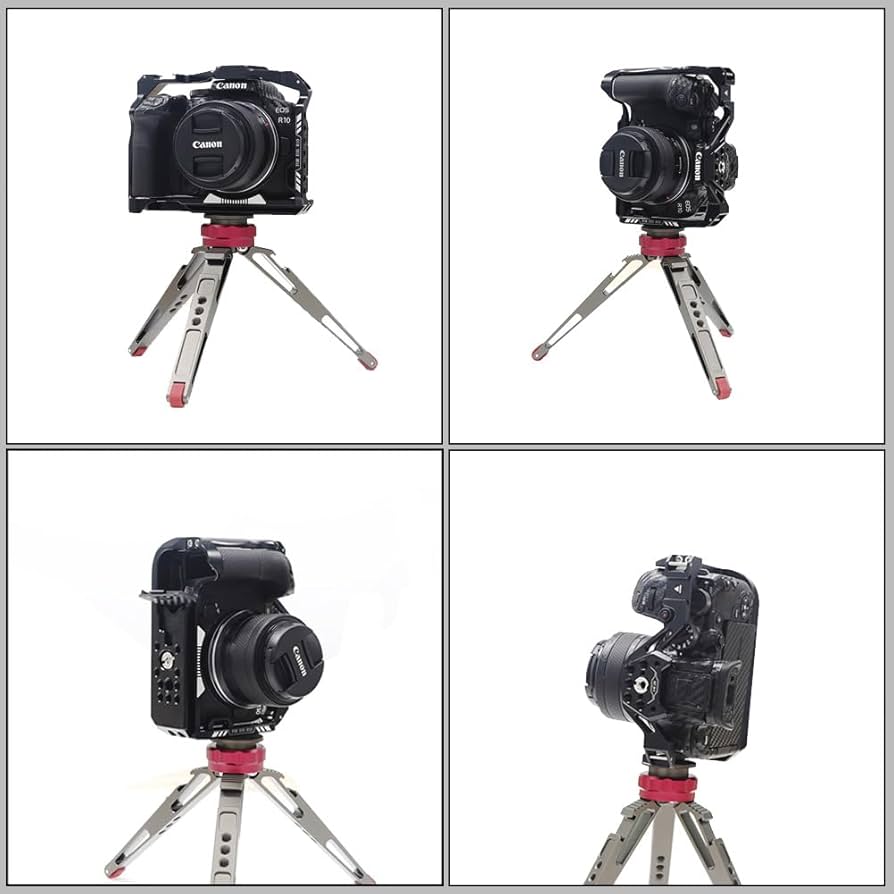 Canon EOS R10 +専用ケージ 安心サービス加入証書 付 Canon EOS R10 +専用ケージ 安心サービス加入証書 付 - メルカリ