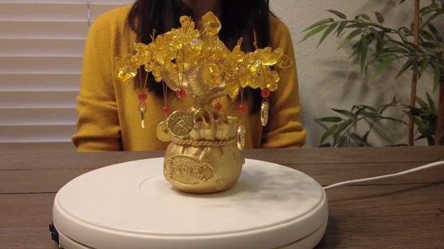 Amazon.com: Feng Shui Crystal Money Tree with Dragon Pot Citrine