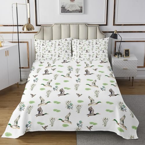 Homewish Mallard Duck Steppdecke Woodland Wild Duck Tagesdecke 240x260cm Wasservogel Fliegende Enten Steppdecken für Kinder,Rustikale Bauernhaus Tagesdecken Moderne raumdekor Jagd Wildtier Thema