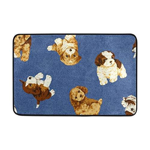 shizh Perro Felpudo Antideslizante y Lavable, para Interior, Alfombra para niños 60 x 40 cm,Alfombra para baño y Cocina