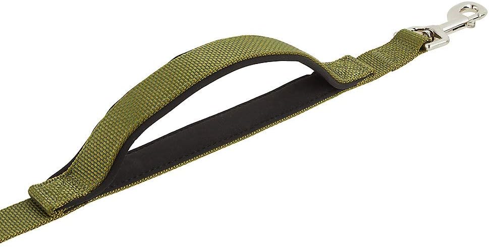 kong reflective leash