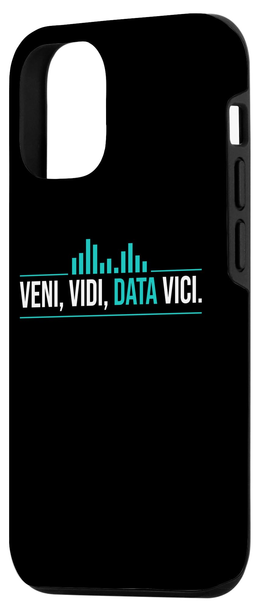 iPhone 13 Veni, Vidi, Data Vici Data Analyst Statistician Case - Image 2