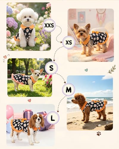 Image of CuteBone Retro Black Daisy Pet Dress with Peter Pan Collar - Bold Floral Pattern - Sleeveless Ruffled Skirt with Bow for Small Dogs, Cats - Stylish Daily & Party Wear