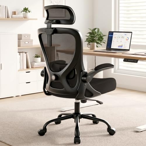 AreShark Ergonomic Office Chair - Mesh High Back Desk Chair Headrest Lumbar | Br...