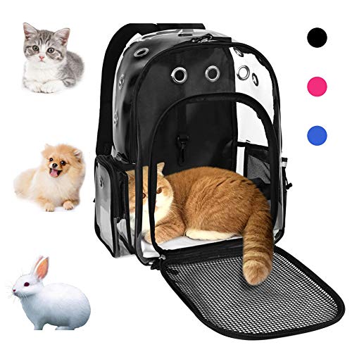 clear cat backpack carrier