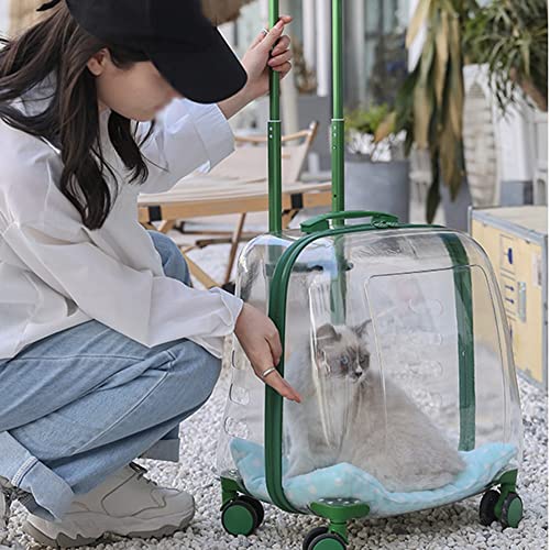 Trasportino trasparente rigido per animali domestici, zaino portatile di grande capacità per viaggi ed escursionismo, soluzione da viaggio durevole per animali domestici