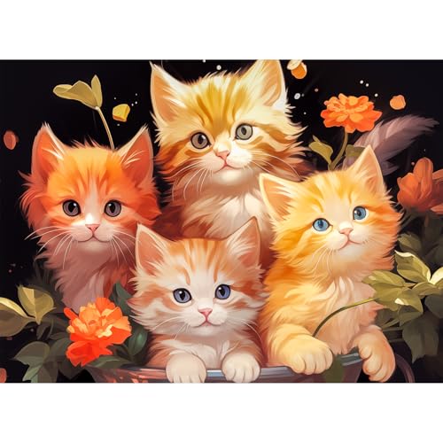 i3852cmjCHengQiSM WO\[pY 500s[X qlR̎ʐ^ pY 500s[X L lR [pY  G  CeA v[g