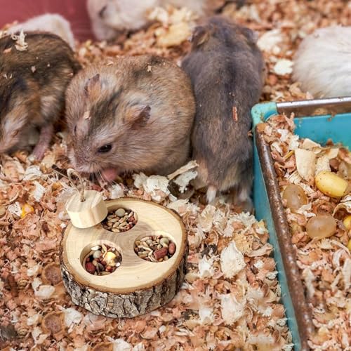 Generisch Tiere Holzfuttersuche Spielzeug, Futtertüter für Haustierspiele - pädagogisches Haustierpuzzle, interaktives Leckerbissen -Versteck für Hasen, Rennmäuse