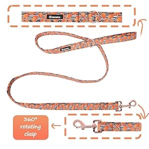 Maca bates halloween day dog leash durable 5 ft44 ft4 ft for small medium large dogs walking accessories  urban country home decor