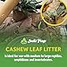 Josh's Frogs Small Cashew Leaf Litter (10 Count)