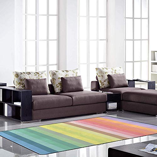 Tapis multicolore arc-en-ciel grand tapis de salon 80x58 inch velours corail