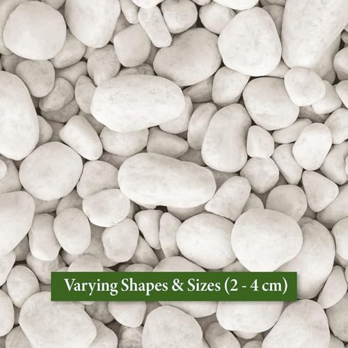 Image of TrustBasket White Pebble Decorative Stones Marble Rock 2Kg | White Garden Pebbles for Plant Pots, Landscaping, Aquarium, Vase, Pathways & Home Decor
