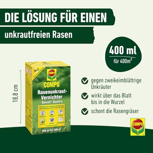 wildblumen saatgut kostenlos Einjhrige Wildblumen Saatgut 500 Kornblumen-Samen Mix  Bunte Blumenwiese  Fr Bienen Und Schmetterlinge Blumen Samen