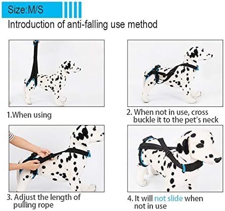 Miniatura 6 de DogLemi Arnés de elevación portátil para perros, correa de apoyo para perros con patas traseras débiles en la espalda, para perros pequeños y