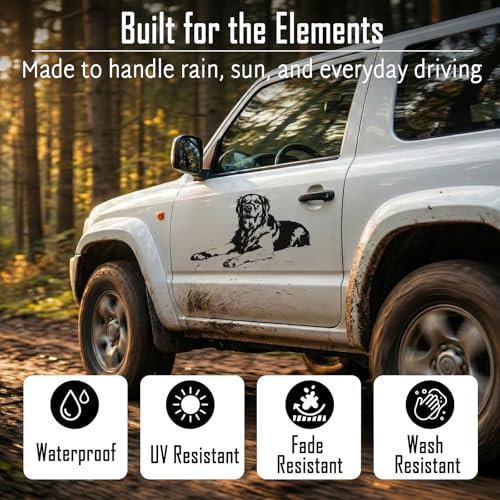 Image of Custom Stickers from Your Pet Photo, Line Art Vinyl Decals for Cars