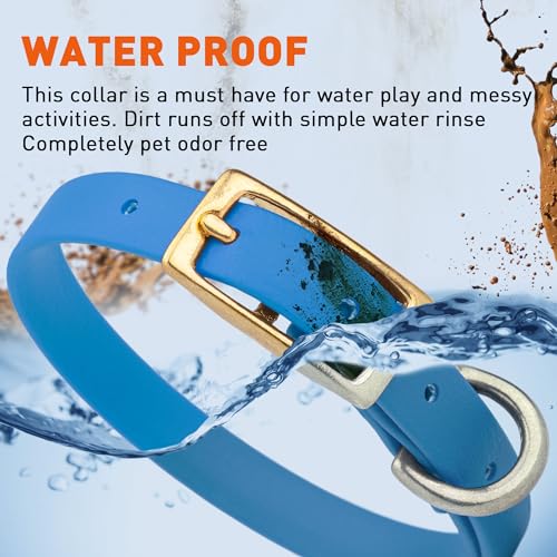 Image of Viper Biothane Heavy Duty Waterproof Dog Collar Strong Coated Nylon Webbing w /Solid Brass Hardware Odor-Proof Easy to Clean High Performance Fits Small Medium or Large Dogs, Cerulean Blue
