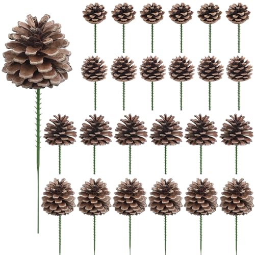 Meching 24 Pieces Christmas Pine Cones Decorations Various Sizes Natural Pine Cones with Wired Picks for Christmas Tree Ornament Garland Wreath Home Decor