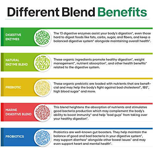 Digestive Enzymes 1000MG Plus Prebiotics