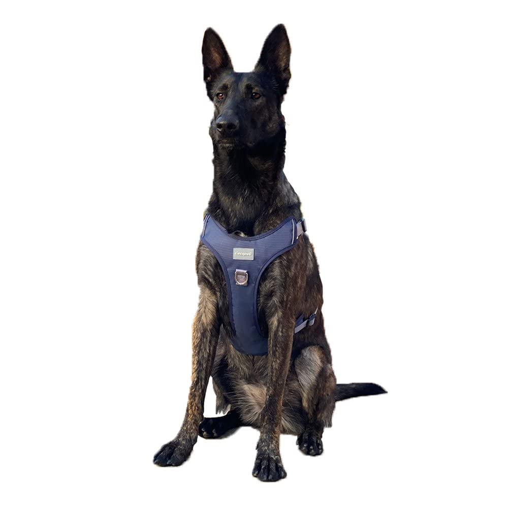 Cool Walk Premium Köpek Göğüs Tasması S