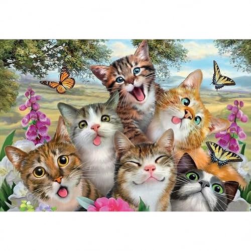 2000s[X ㋉ҌWO\[pY wʕR[htŊȒPɎd\ A[gvg𒴌s[XōČ EH[fRƃN[[VɍœK(70×100cm)