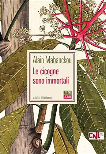 Le cicogne sono immortali eBook: Mabanckou, Alain, Lapenna, Marco ...
