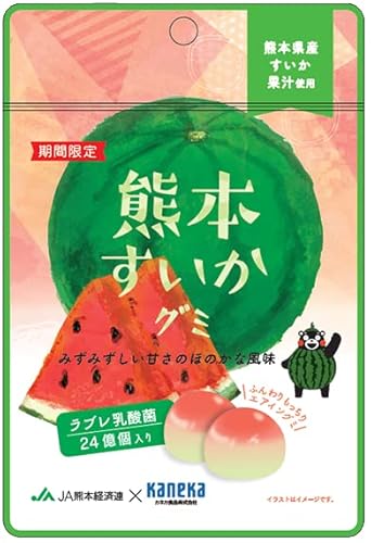 カネカ食品 熊本すいかグミ ラブレ乳酸菌入り 40g×10袋