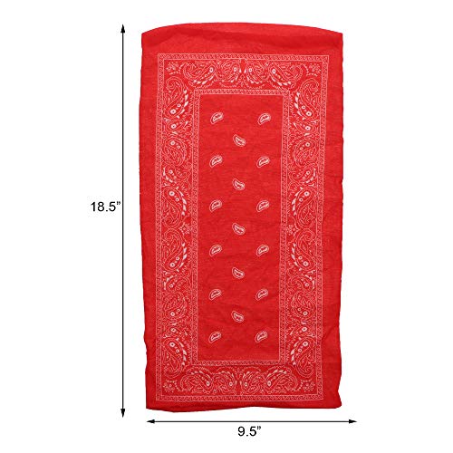 Image of Motique Accessories Paisley Bandana Neck Gaiter Tube Headwear Motorcycle Face Scarf
