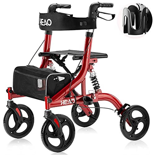 Best of 2 wheeled walker with