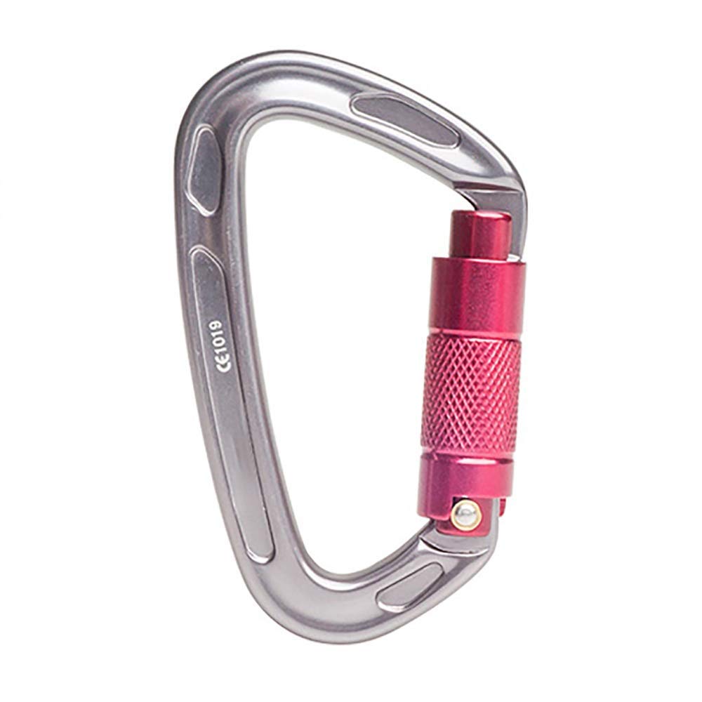 Mosquetón Grande, Gancho de Clip, 2 Paquetes de Anilla en D de aleación de Aluminio de Alta Resistencia, mosquetón Grande automático, Gancho de Clip para Llavero, superduradero (Plata, 99 x 58 mm)