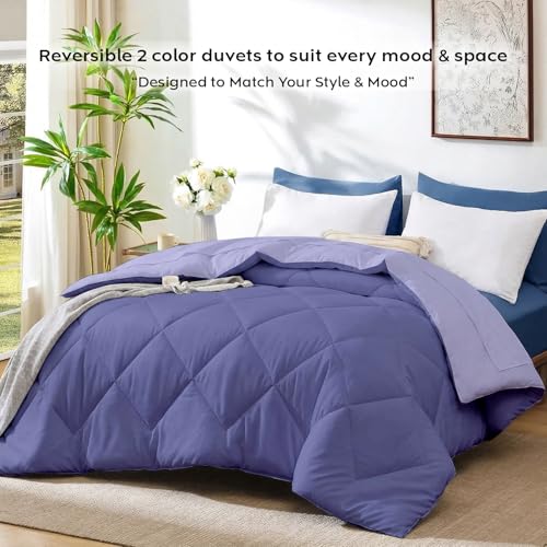 Image of AYKA Reversible AC Comforter 150 GSM Lightweight Microfiber Summer Blanket for Single Bed (60x90 Inches) | Soft Cooling Quilt, Breathable All Season Duvet for AC Room | Lavender & Blueberry